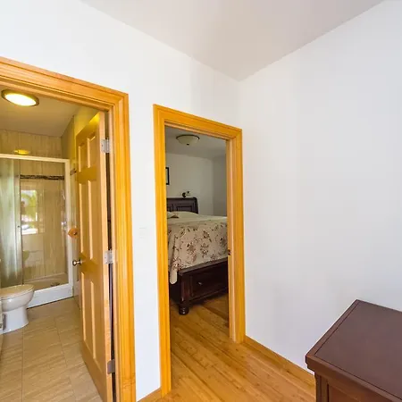 Golden Shell 4 Guest house *